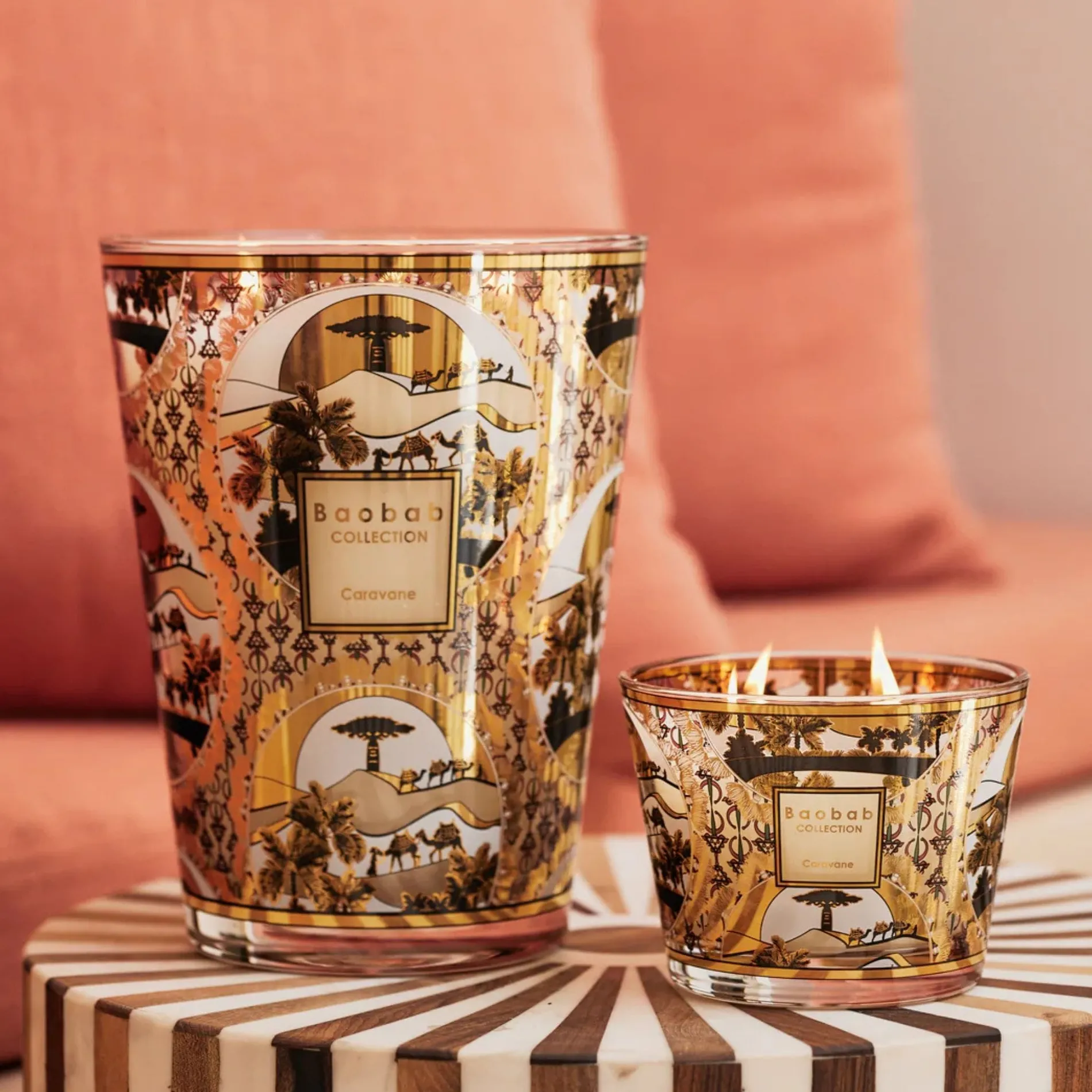 baobab_bougie_caravane__2-3.webp baobab /bougie caravane 10 or Best Sale