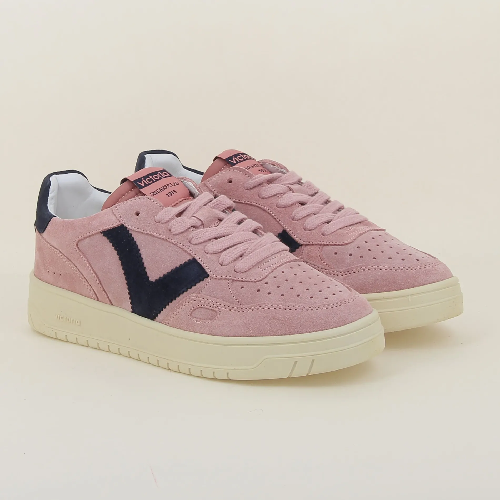 Victoria /1257127 h25 rose Best